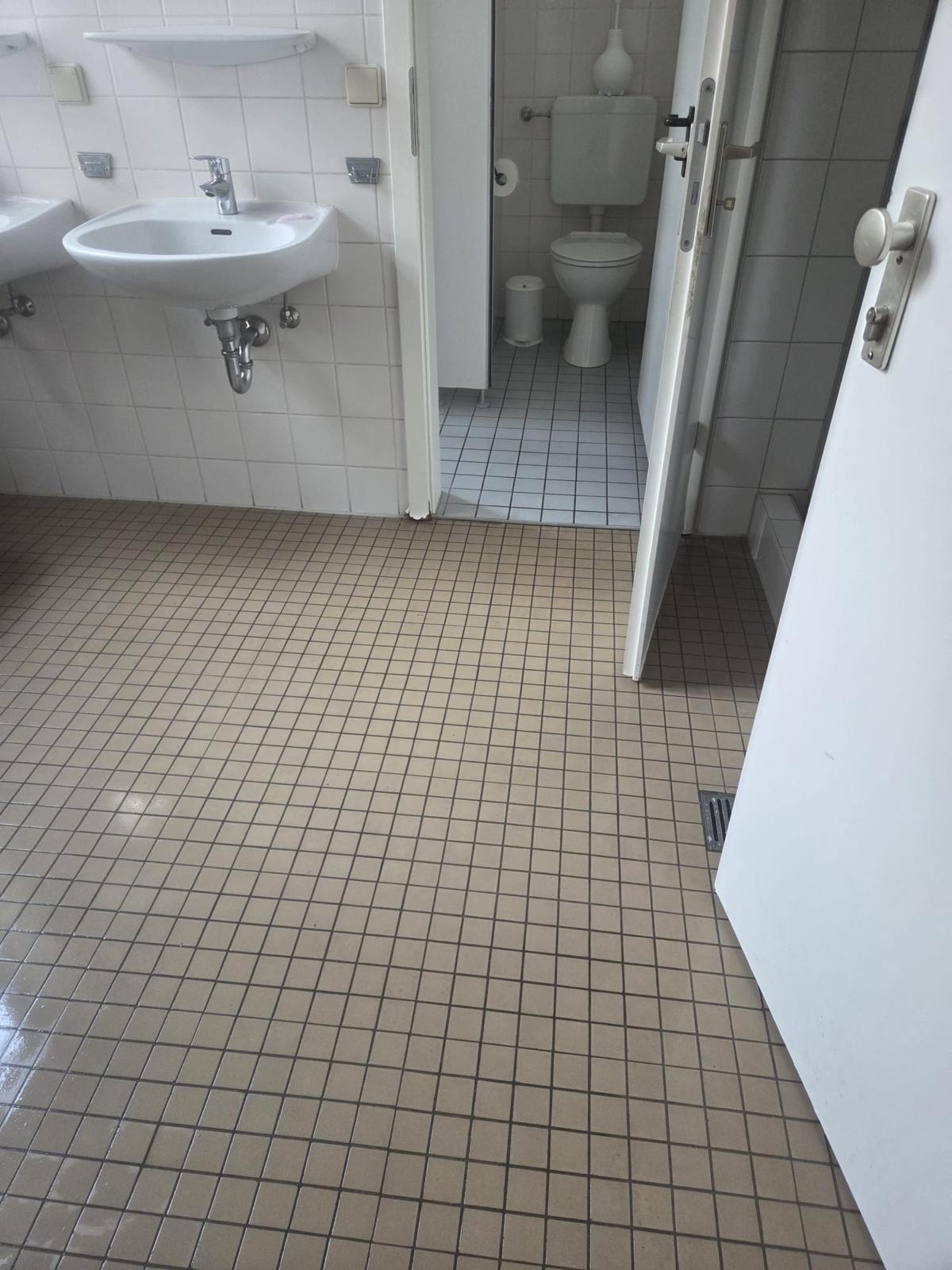 Gereinigter Sanitärbereich mit WC und Waschbecken